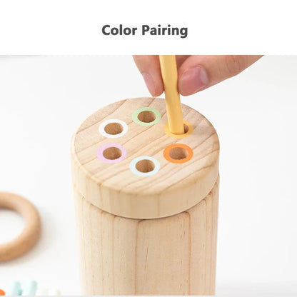 Color Stick Sorting Toy