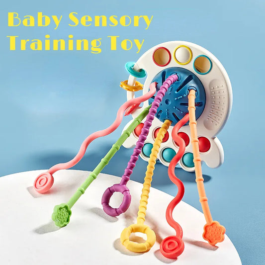 Baby Sensory Toy